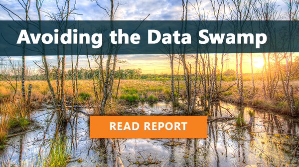 Avoiding the Data Swamp: Read Report