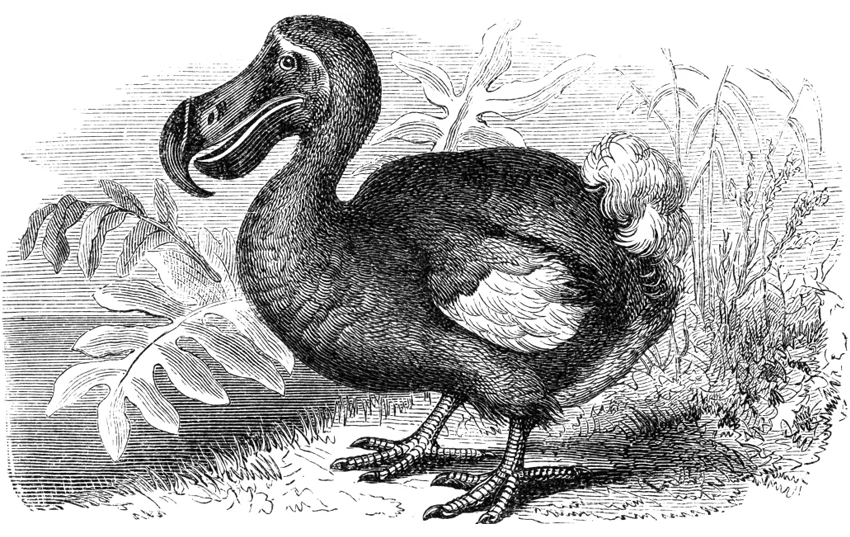 Have Datacenters gone the way of the Dodo?
