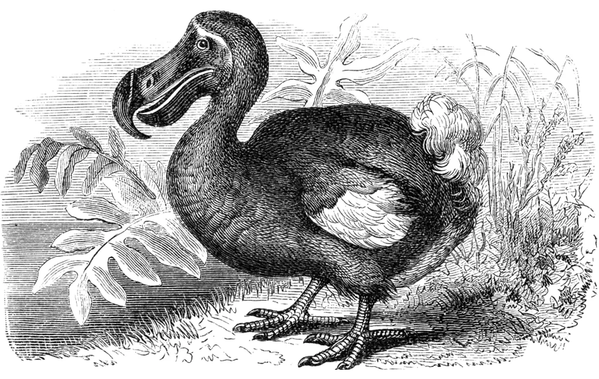 Have Datacenters Gone the Way of the Dodo?