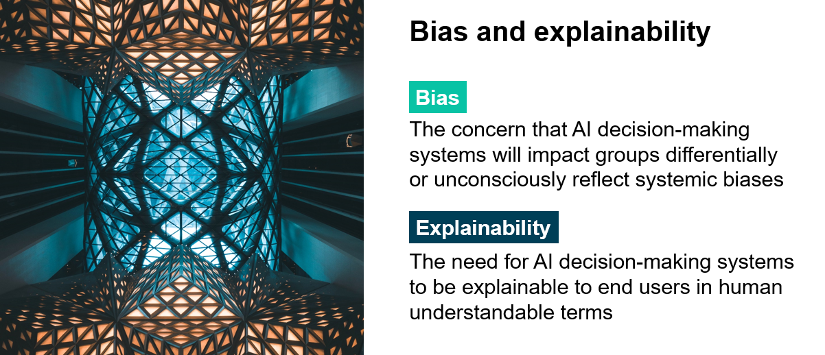 Bias and explainability