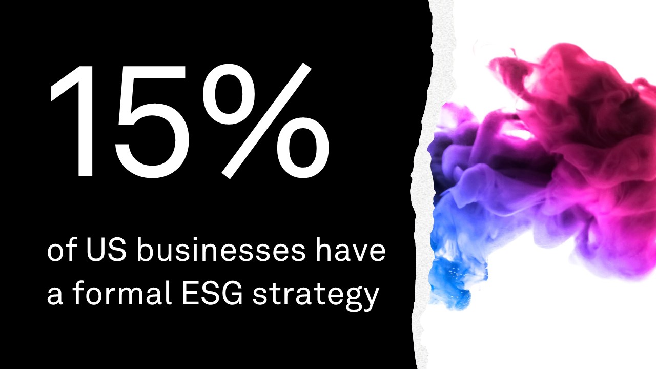 only 15% of all US businesses can be dubbed ESG leaders