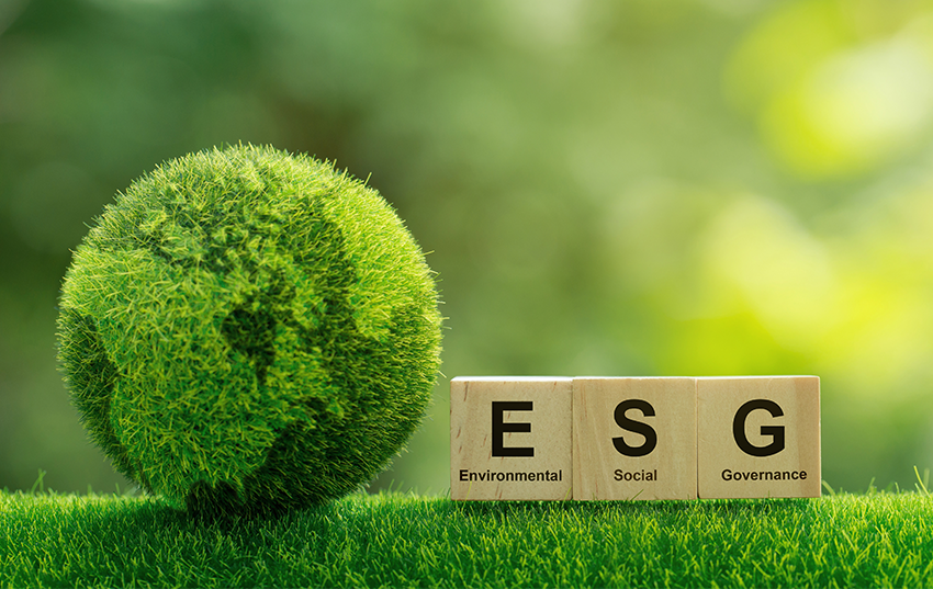 What Sets ESG Leaders Apart