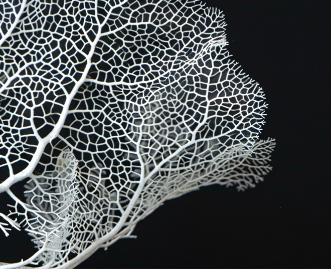 AI reshapes decision flow in IoT systems