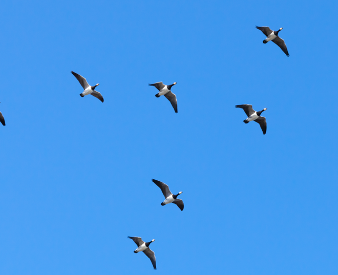 Data sovereignty and egress charges reshape migration strategies